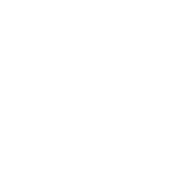 SAP® Integration and Data Processing
